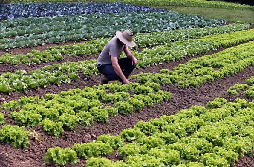 MEIO AMBIENTE REALIZA PLANTÃO DO CADASTRO AMBIENTAL RURAL NA PRÓXIMA SEMANA