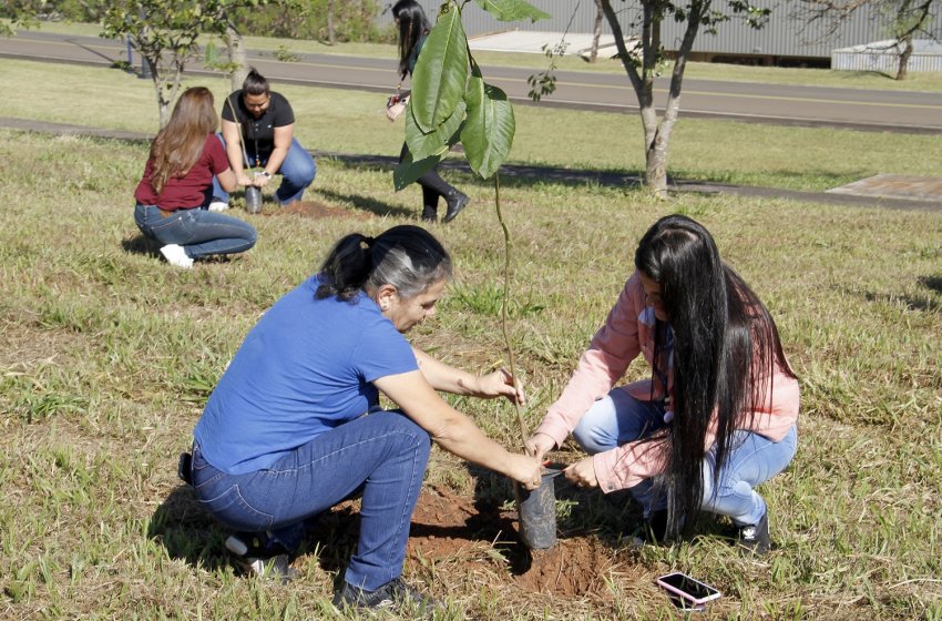 PREFEITURA DE JAGUARIÚNA PLANTA MUDAS DE ÁRVORES NO DIA MUNDIAL DO MEIO AMBIENTE