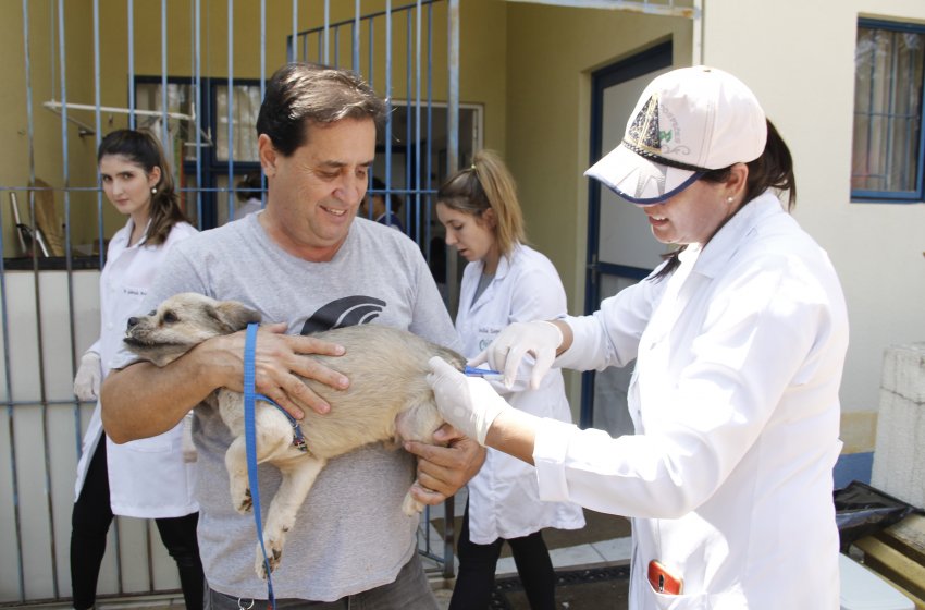 VACINAÇÃO ANTIRRÁBICA DE CÃES E GATOS PASSA A SER FEITA COM AGENDAMENTO PRÉVIO EM JAGUARIÚNA 