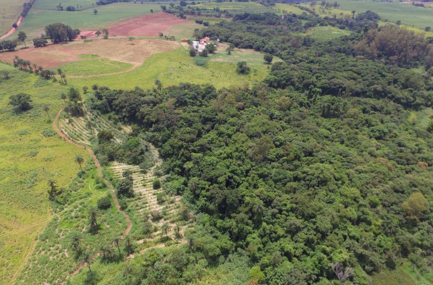 JAGUARIÚNA CONQUISTA PELA 13ª VEZ O SELO ‘MUNICÍPIO VERDEAZUL’ 