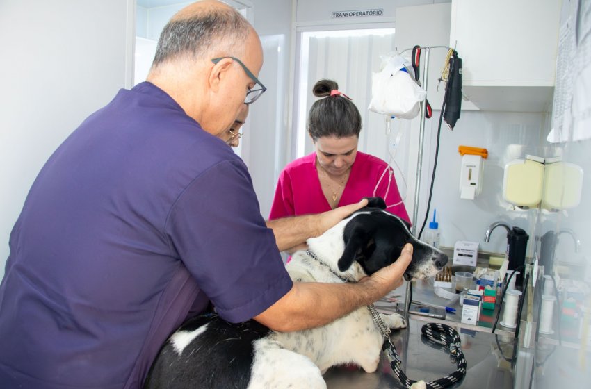 CASTRAMÓVEL MUNICIPAL RETOMA CASTRAÇÕES NO PARQUE MENEGON